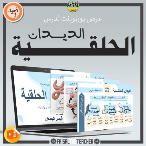 عرض درس الديدان الحلقية