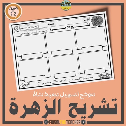 نموذج تشريح الزهرة - احياء 2-1