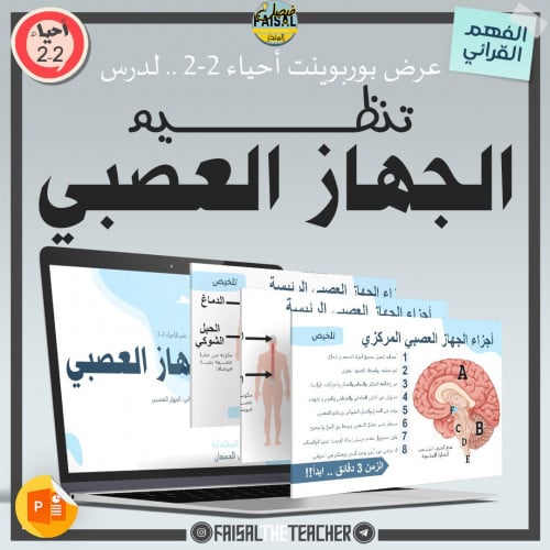 عرض لدرس تنظيم الجهاز العصبي - 04