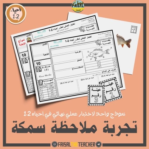 نموذج اختبار عملي في تجربة ملاحظة سمكة