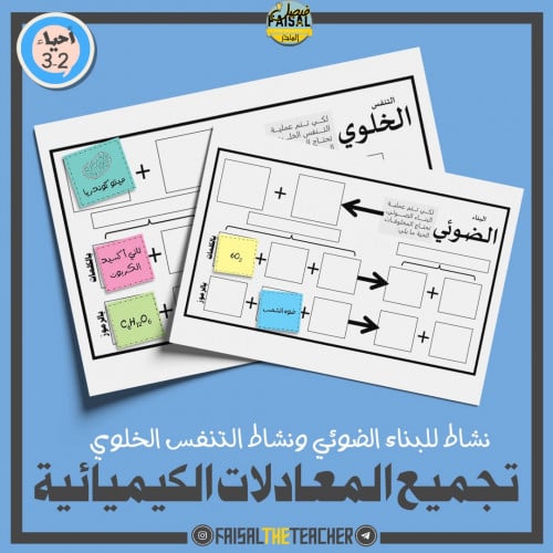 نشاط معادلة البناء الضوئي والتنفس الخلوي