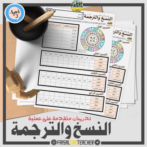 تدريبات على النسخ والترجمة