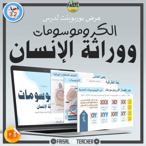 عرض لدرس الكروموسومات ووراثة الإنسان - 16