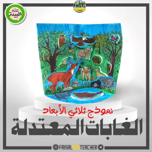 نموذج POP-UP لمنطقة الغابات المعتدلة