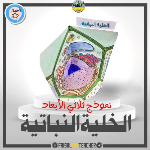 نموذج POP-UP للخلية النباتية