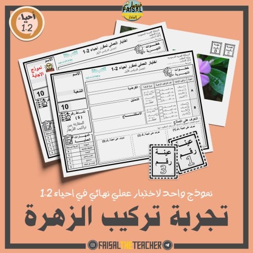 نموذج اختبار عملي في تجربة مقارنة تراكيب الأزهار