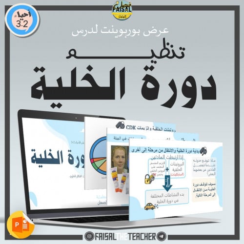 عرض لدرس تنظيم دورة الخلية - 09