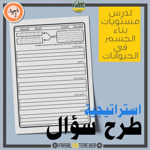 نموذج لتنفيذ استراتيجية طرح سؤال لدرس مستويات بناء الجسم في الحيوانات