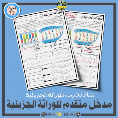 نشاط مدخل متقدم للوراثة الجزيئية