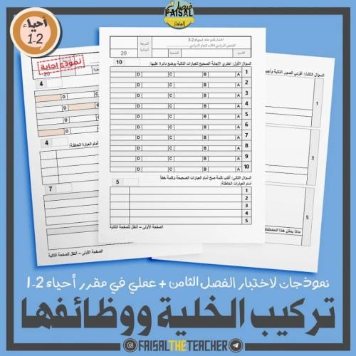 نموذجان اختبار للفصل الثامن + عملي في نفس النموذج