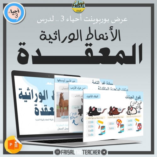 عرض لدرس الأنماط الوراثية المعقدة - 15