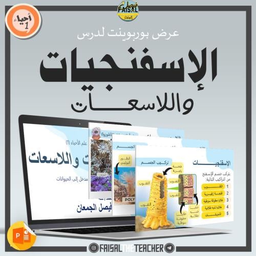 عرض درس الإسفنجيات واللاسعات