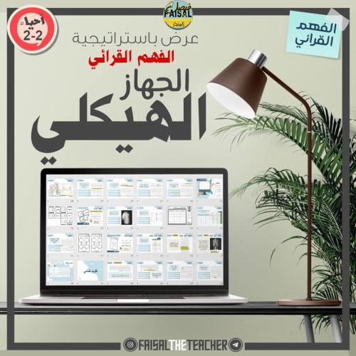 عرض الجهاز الهيكلي (فهم قرائي) - 01