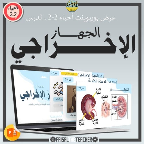 عرض لدرس الجهاز الإخراجي - 08