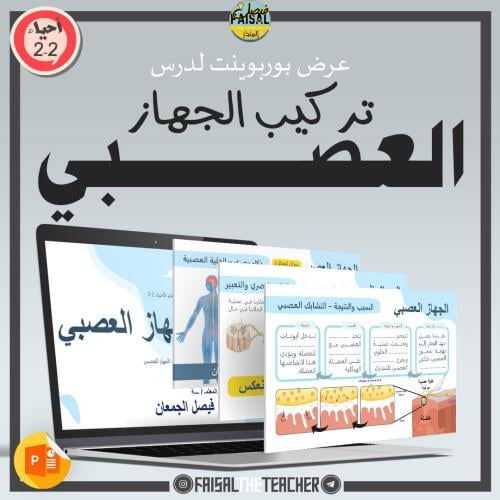 عرض لدرس تركيب الجهاز العصبي - 03