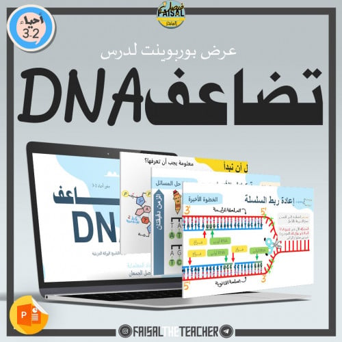 عرض لدرس تضاعف DNA - 25