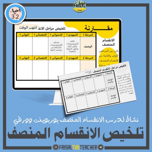 نشاط تلخيص الانقسام المنصف