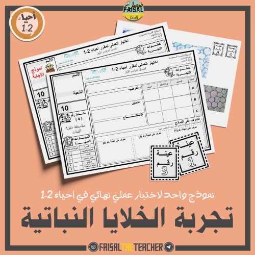 نموذج اختبار عملي في تجربة ملاحظة الخلايا النباتية