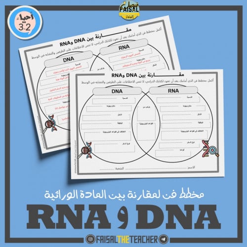 مخطط فن لمقارنة DNA و RNA