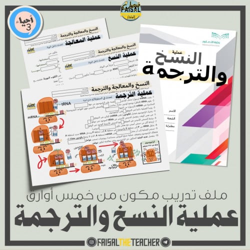 ملف تدريب لعملية النسخ والترجمة