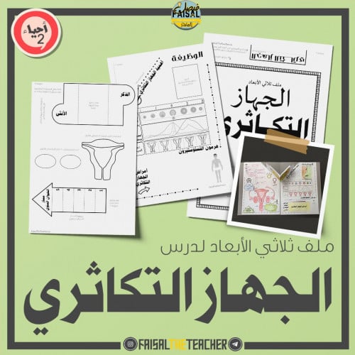 ملف الجهاز التكاثري - ثلاثي الابعاد