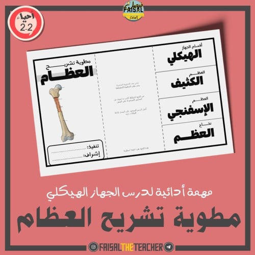 مطوية تشريح العظام