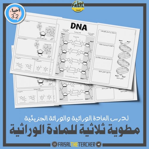 مطوية ثلاثية للمادة الوراثية