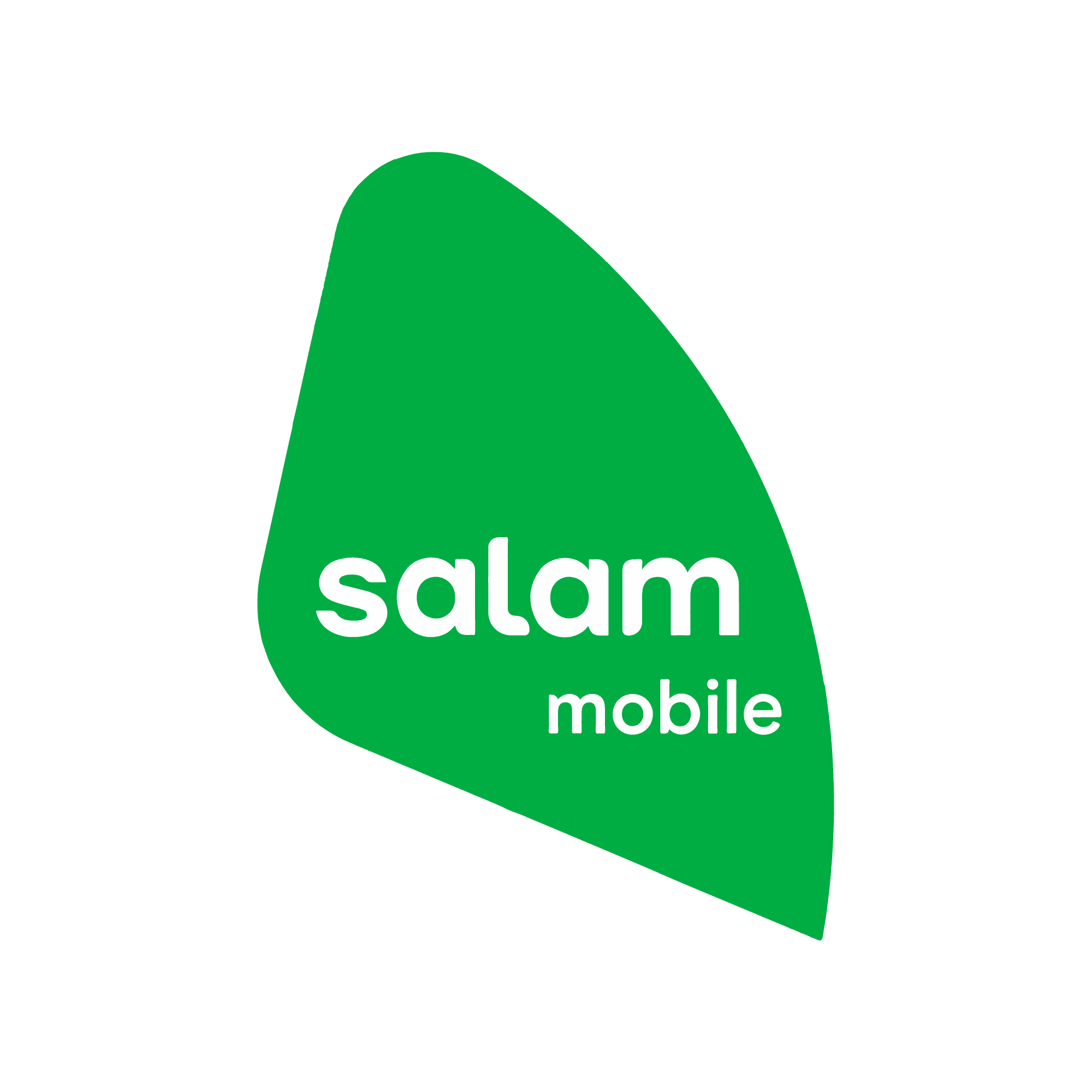 Integrated Telecom Company