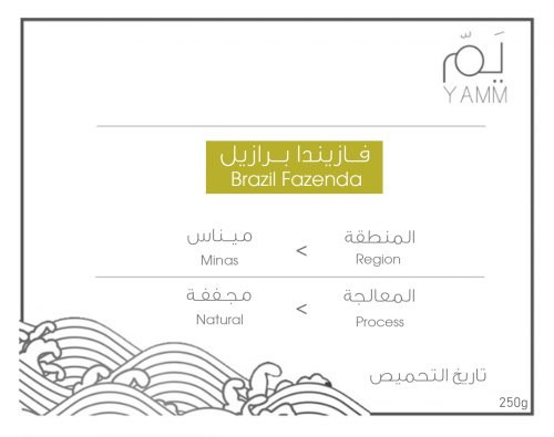 فازيندا برازيل