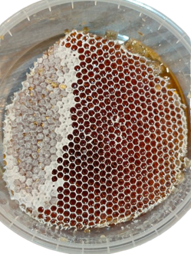 كيلو عسل طلح أقراص شمعية