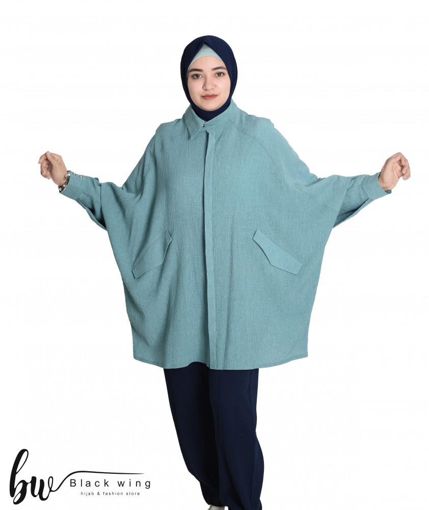 فيروزي