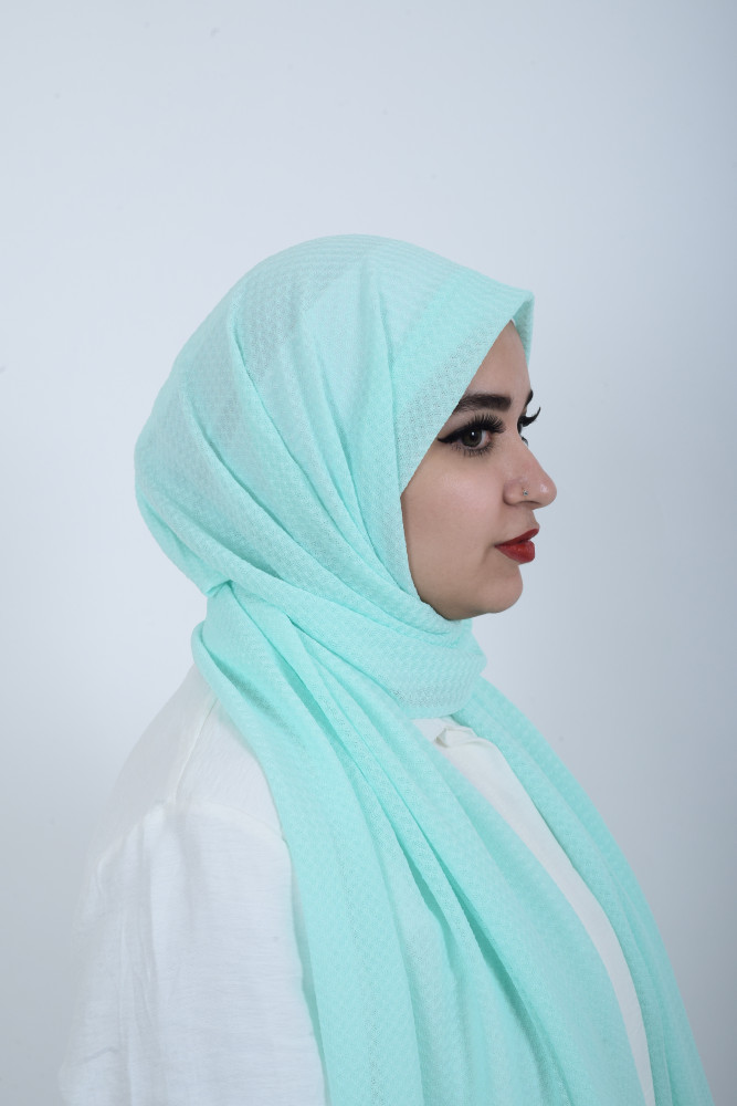 فيروزي