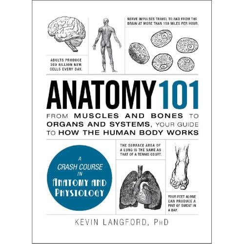 Anatomy 101 book (Adams 101) - A Crash Course in Anatomy and