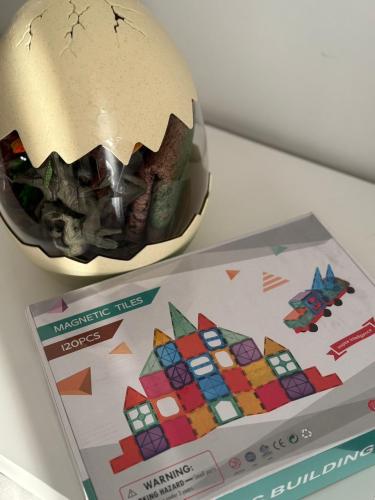 بيضة الديناصور والمكعبات المغناطيسية