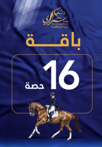 16 حصة لتدريب على قفز الحواجز