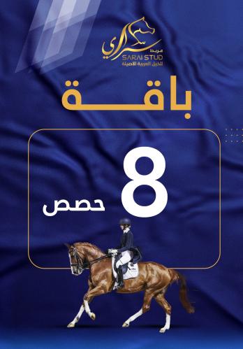 8 حصص لتدريب على قفز الحواجز