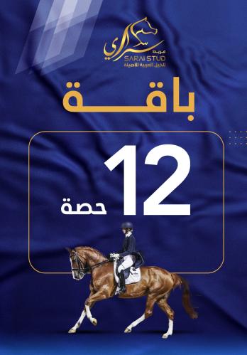 12 حصة لتدريب على قفز الحواجز