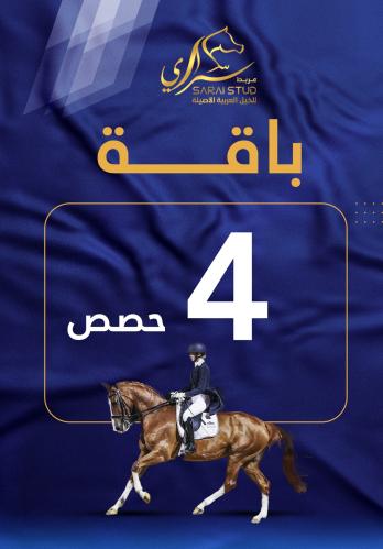 4 حصص لتدريب على قفز الحواجز