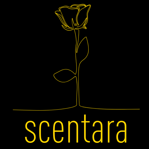 store avatar
