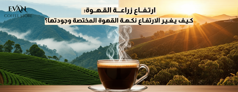 ارتفاع مناطق زراعة البن: كيف يغير الارتفاع نكهة القهوة المختصة وجودتها؟