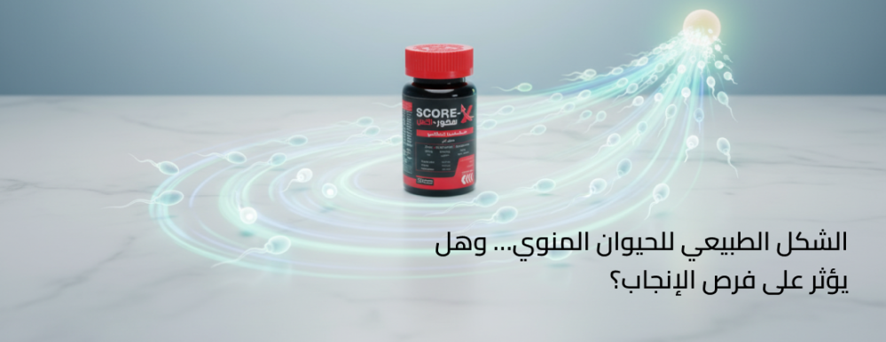 الشكل الطبيعي للحيوان المنوي… وهل يؤثر على فرص الإنجاب؟