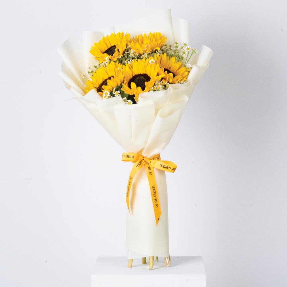 باقة دوار الشمس