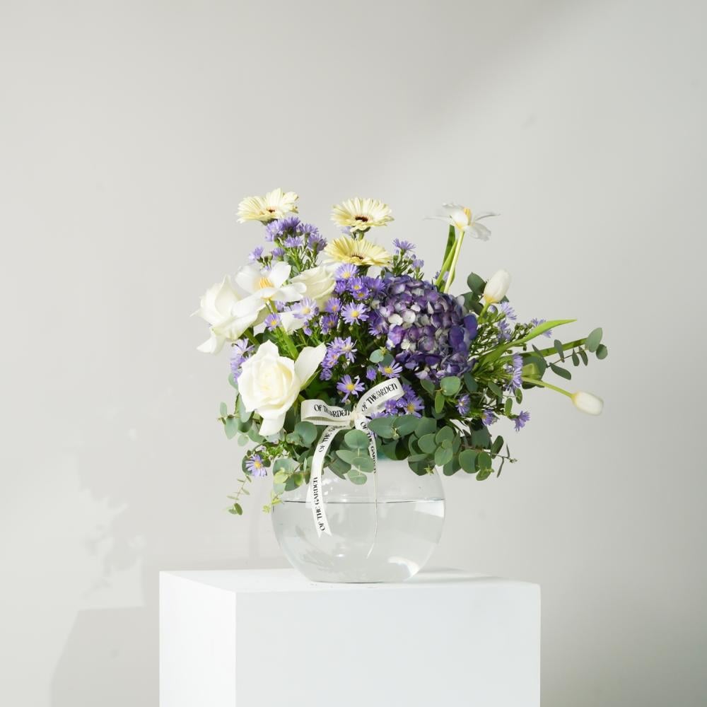 فازة وايت فايب