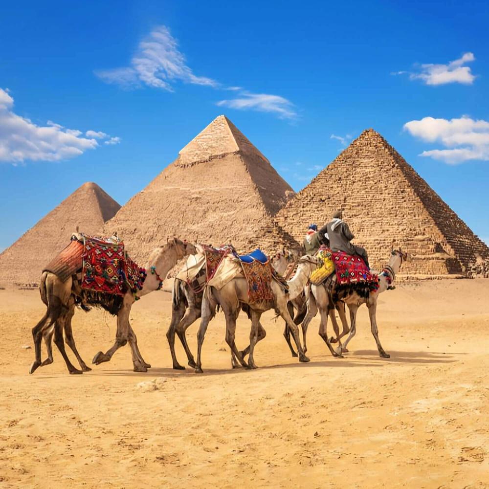 مصر, القاهرة, الأقصر, الفيوم, أسوان, سيوة, الغردقة, الإسكندرية, شرم ال