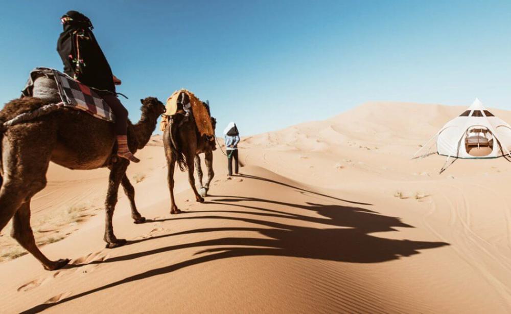 القاهرة, الأقصر, الفيوم, أسوان, سيوة, الغردقة, الإسكندرية, شرم الشيخ