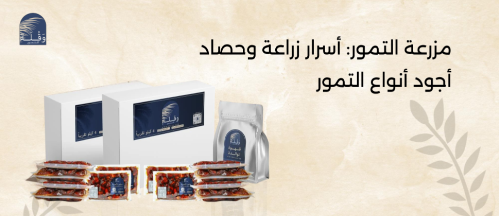 مزرعة التمور: رحلة من الشجرة إلى المائدة