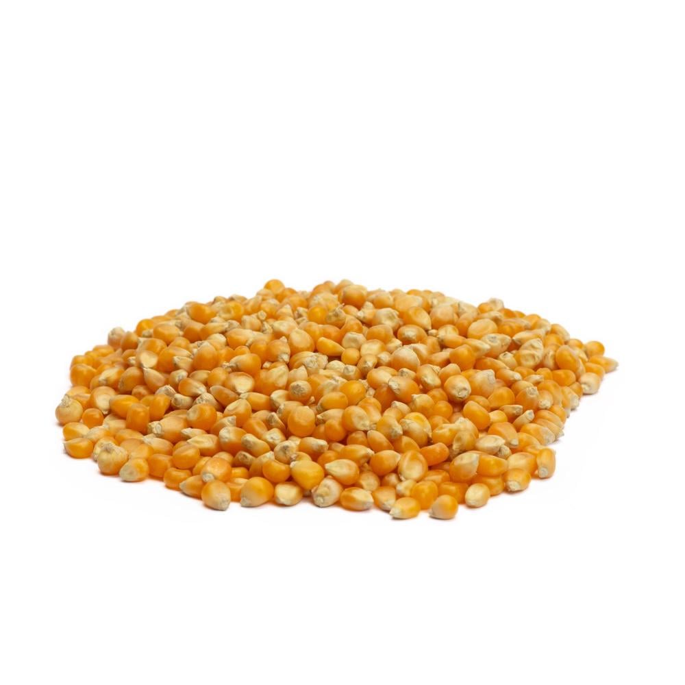 فشار أبيض