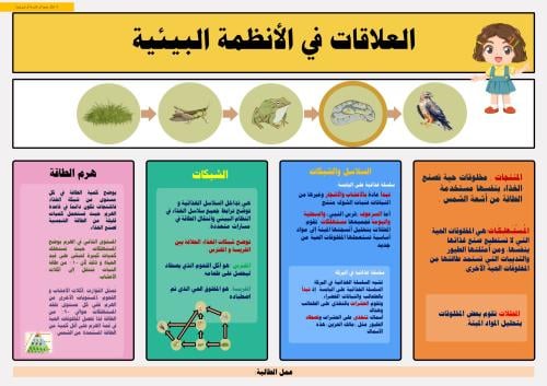 مطوية لدرس العلاقات في الأنظمة البيئية