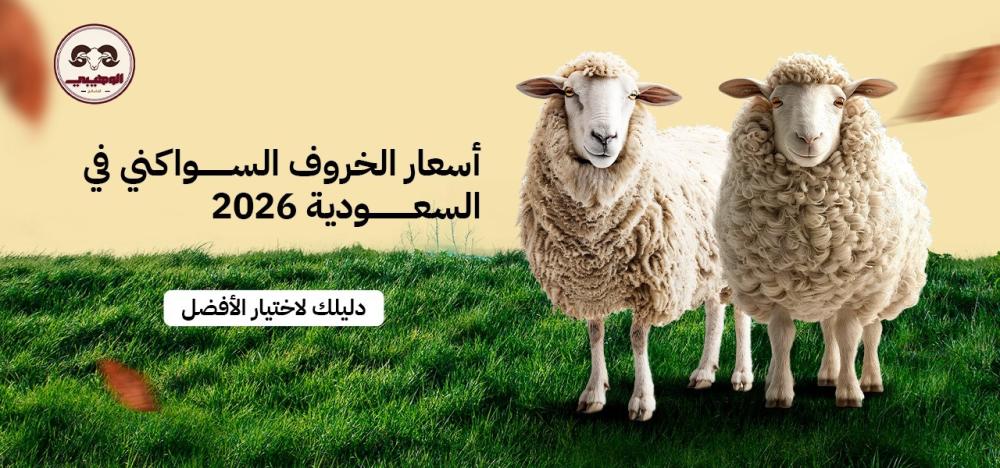 أسعار الخروف السواكني في السعودية 2026 | دليلك لاختيار الأفضل