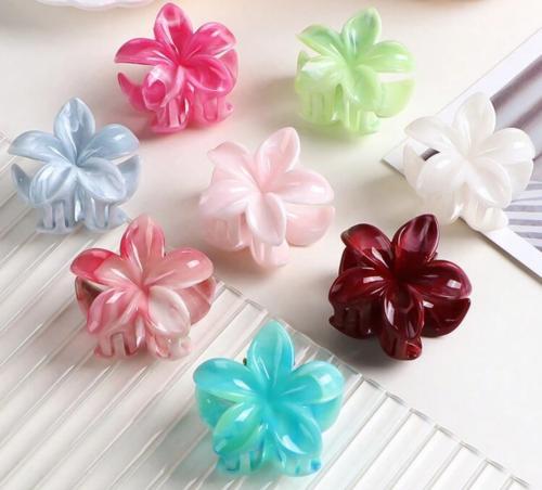 Medium size Hawaiian Claw Clips